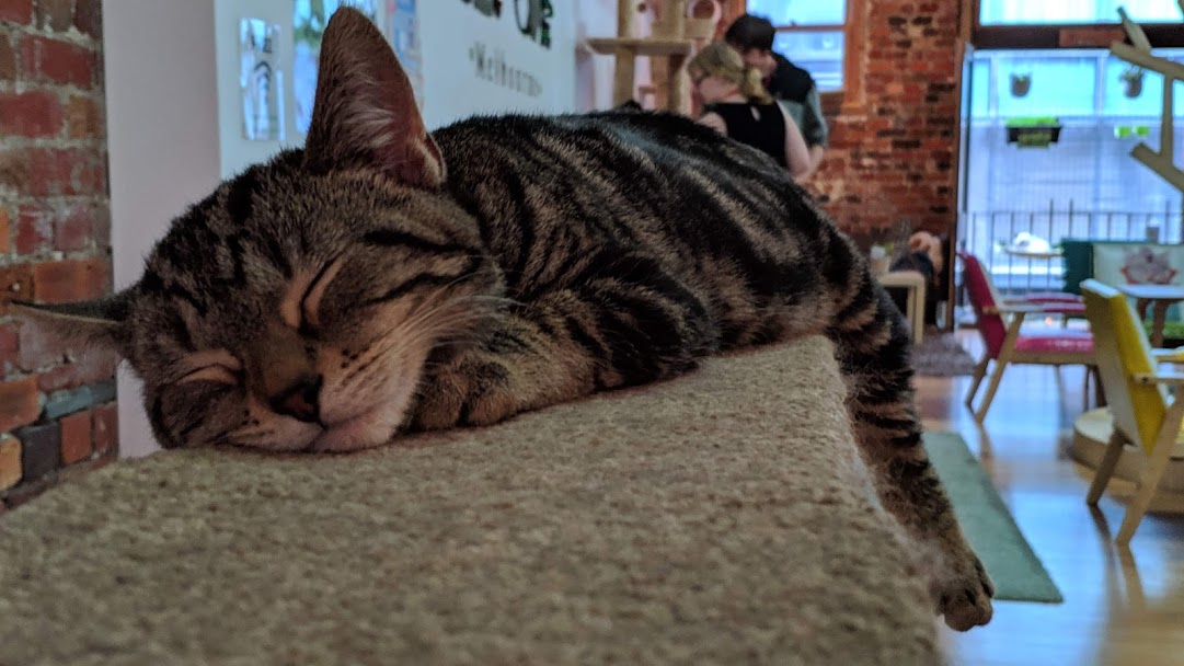 00000IMG_00000_BURST20190321115323829_COVER