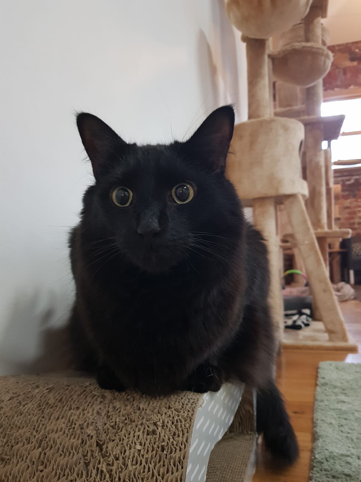 96887efe-c9c8-485b-b118-bb9d2b1d25dd