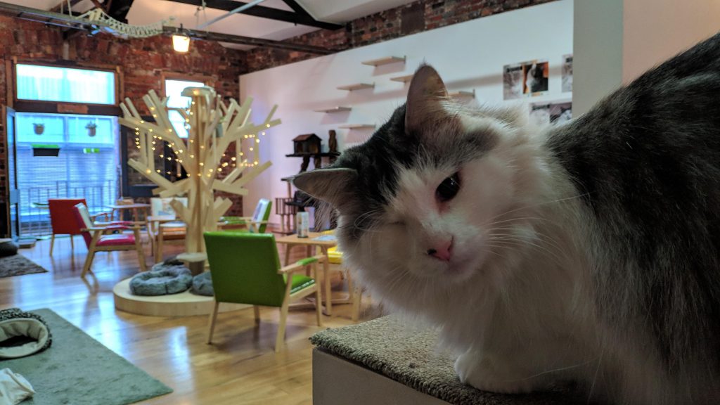 IMG_20190216_140424 (1)