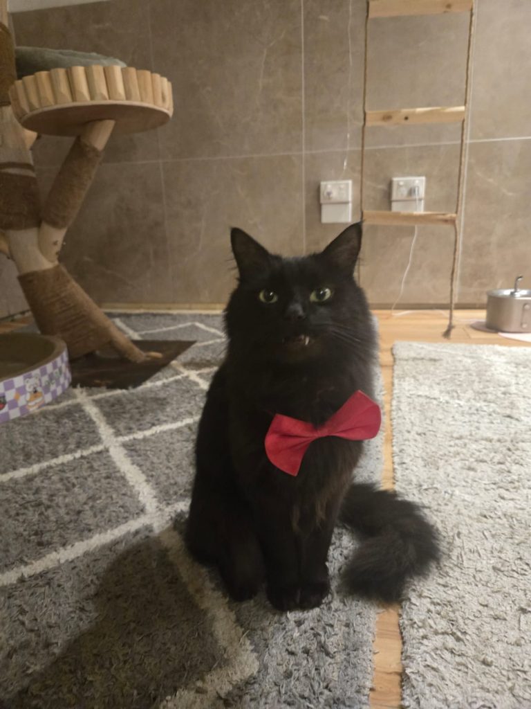 Clyde