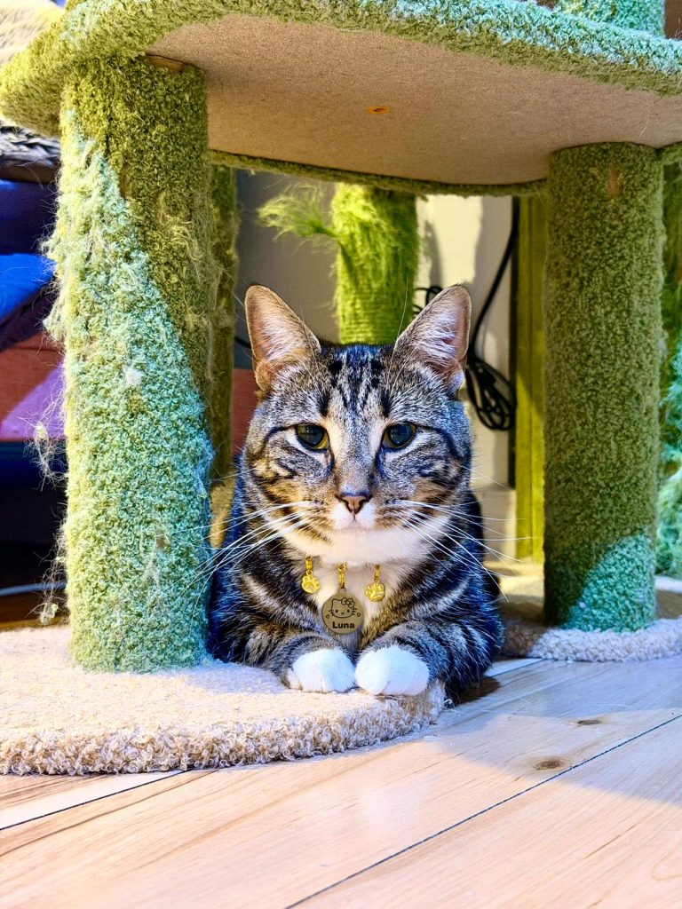 Luna