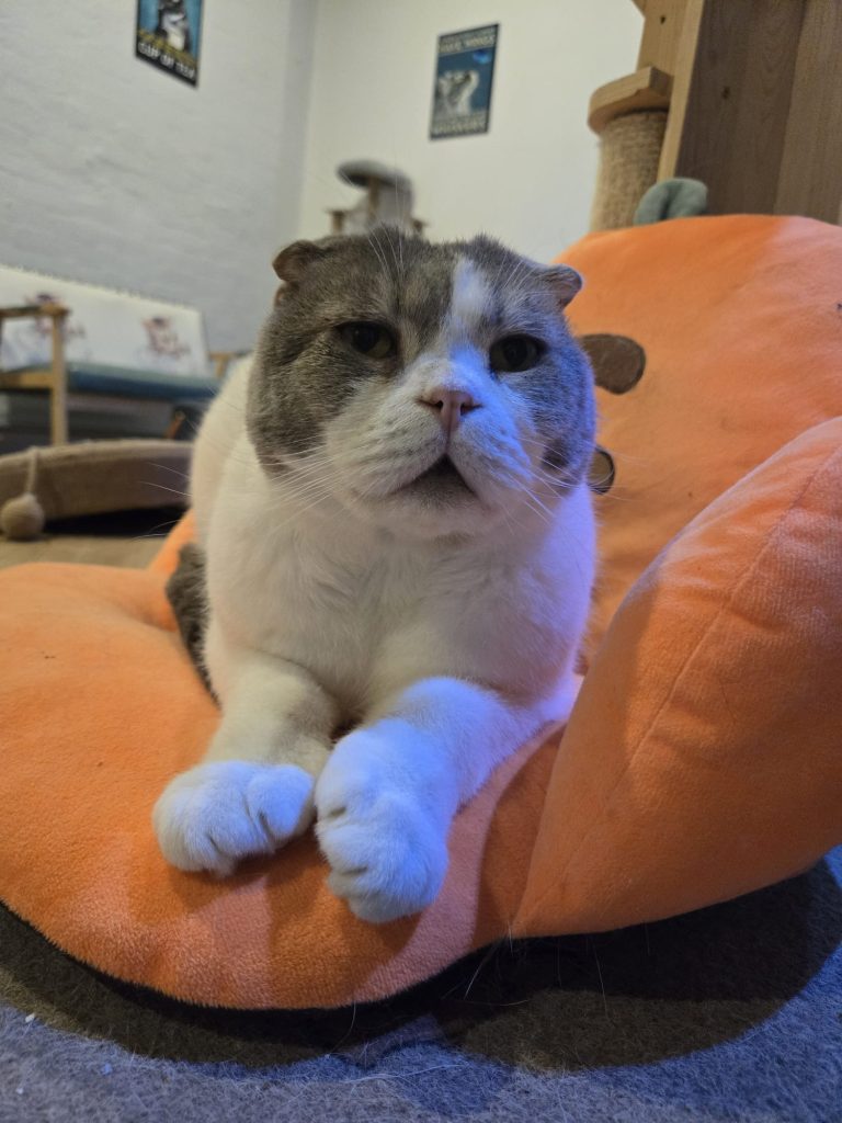 Marco