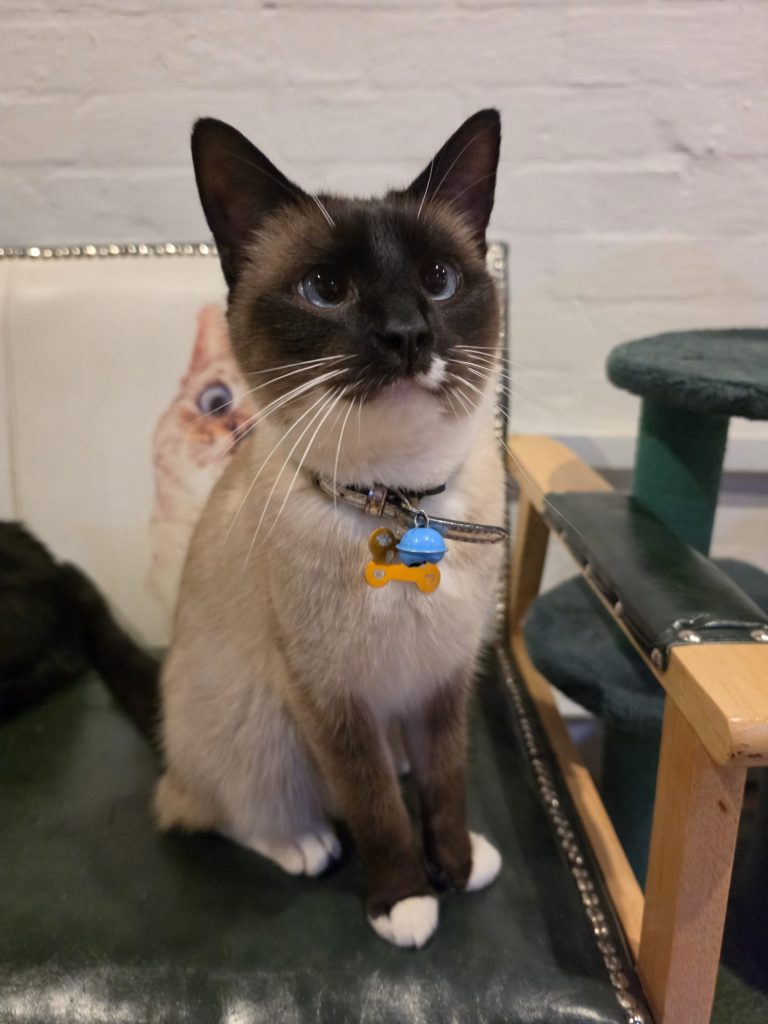 Milo